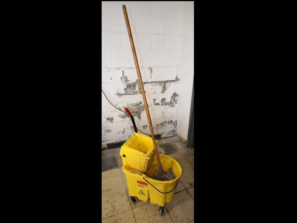 Mop Bucket w/ Mop