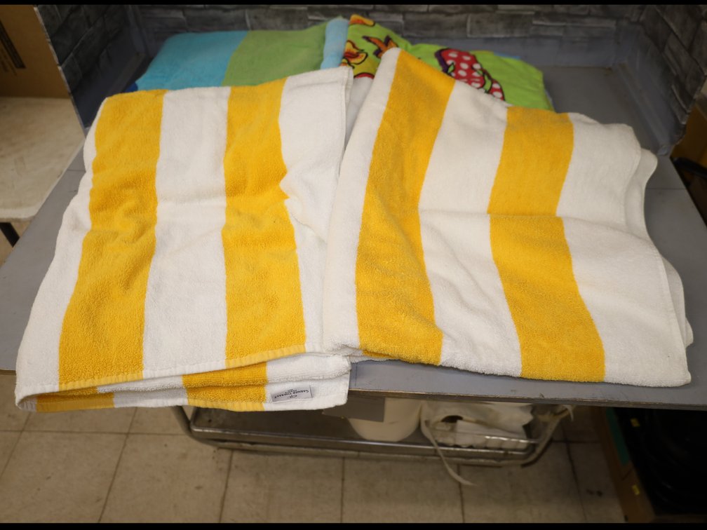 (6) Beach Towels