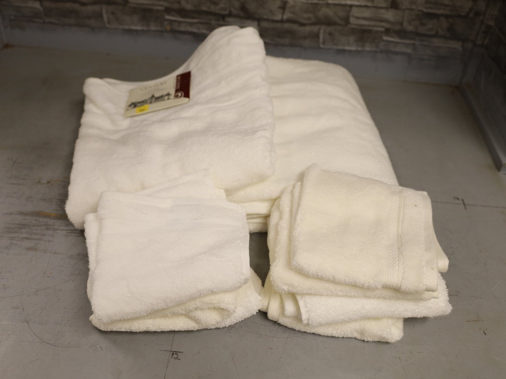 (6) New Century Bath Towels & (8) Wash Cloths