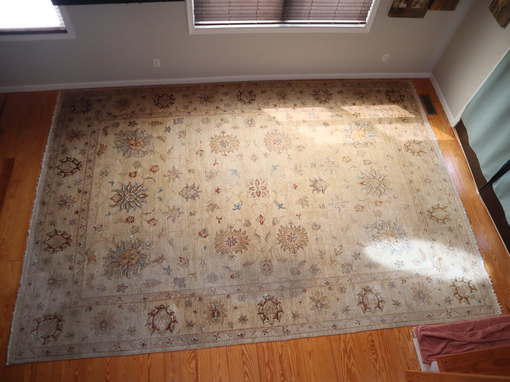 Ivory Oriental-Style Area Rug