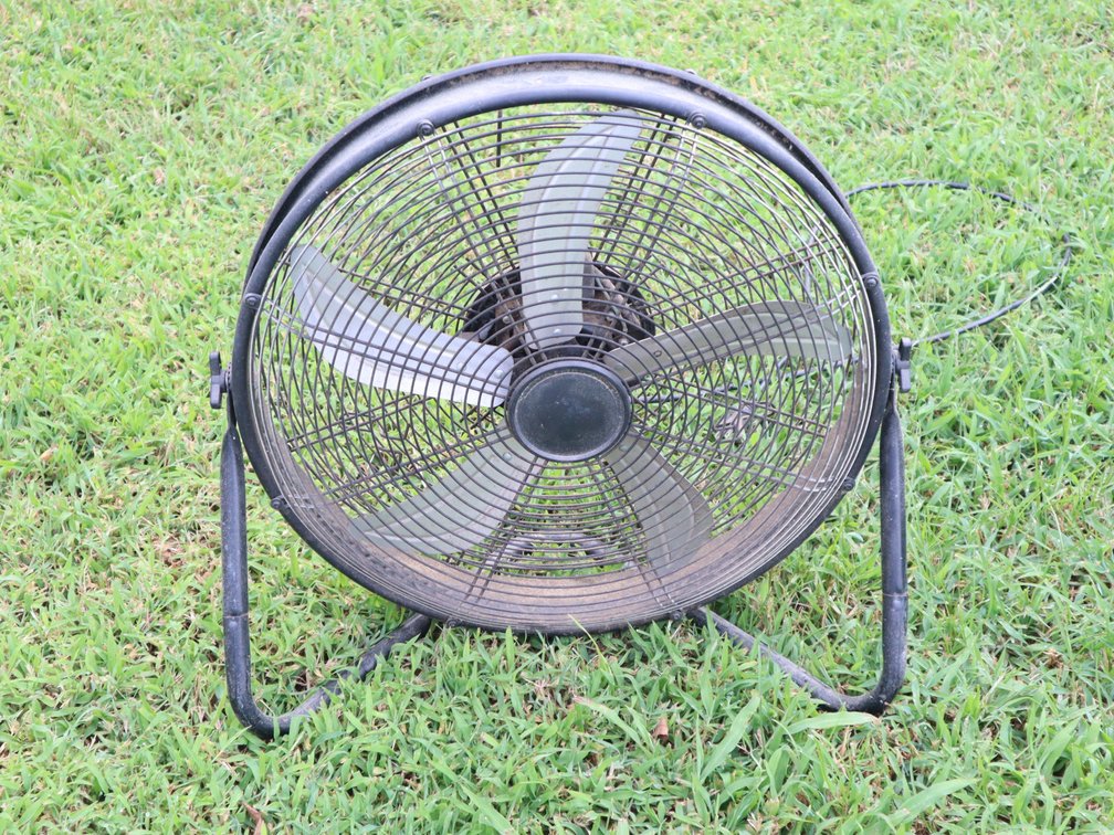 Shop Fan