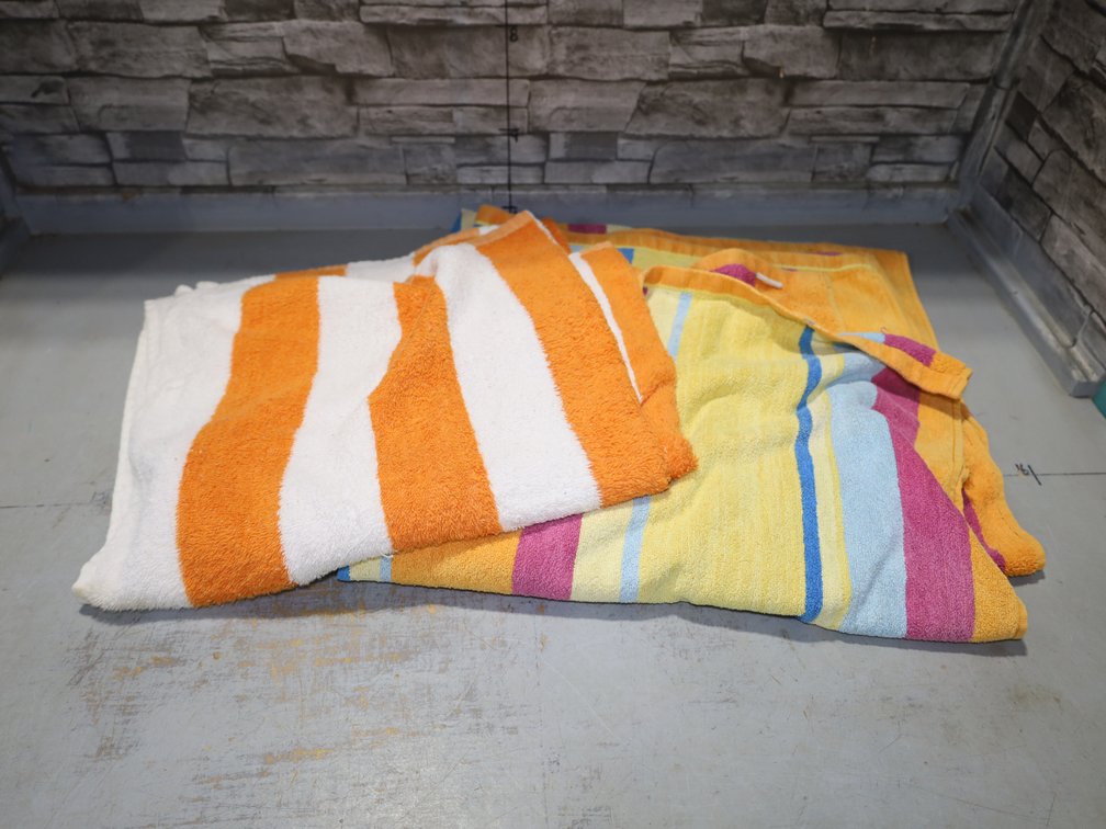 (2) Striped Beach Towels, Strawberry Print Tote Bag, Blue Drawstring Bag, Buffalo Check Blanket Scarf, & GU Fringed Scarf