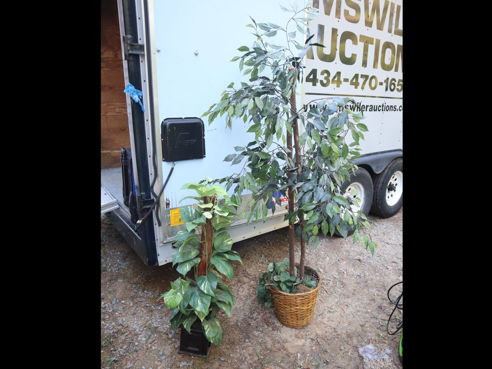Faux Ficus Tree in Basket Planter w/ Faux Pothos Plant in Pot