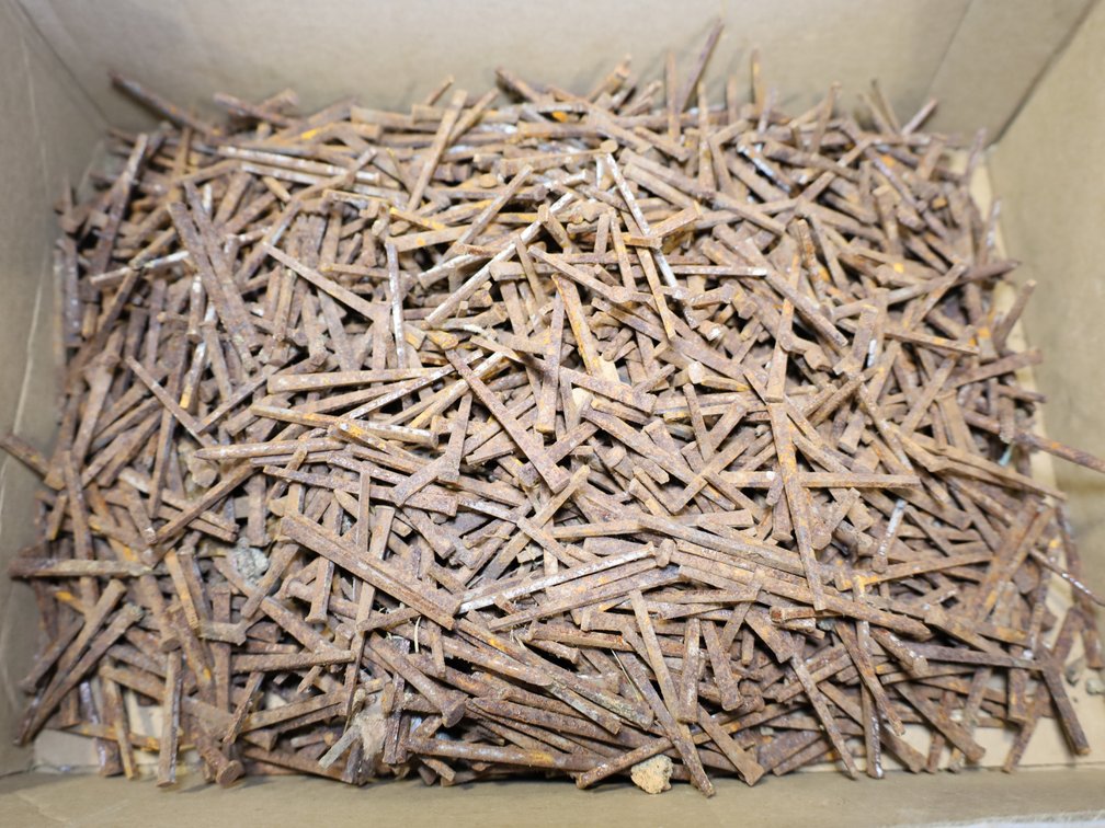 cut nails