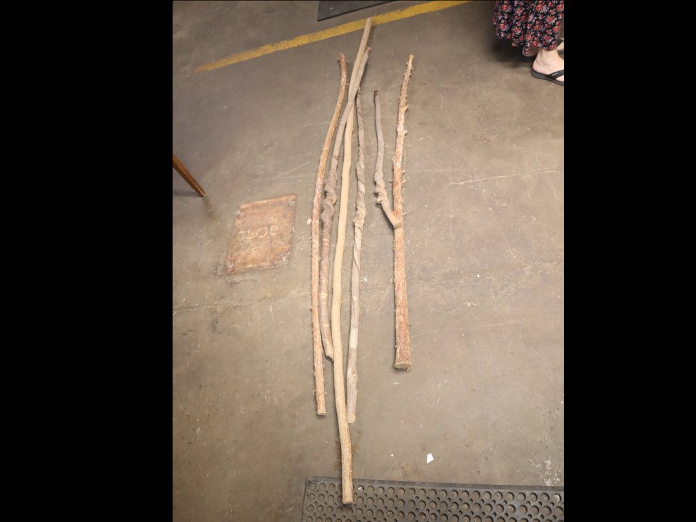 6 assorted handcrafted walking sticks