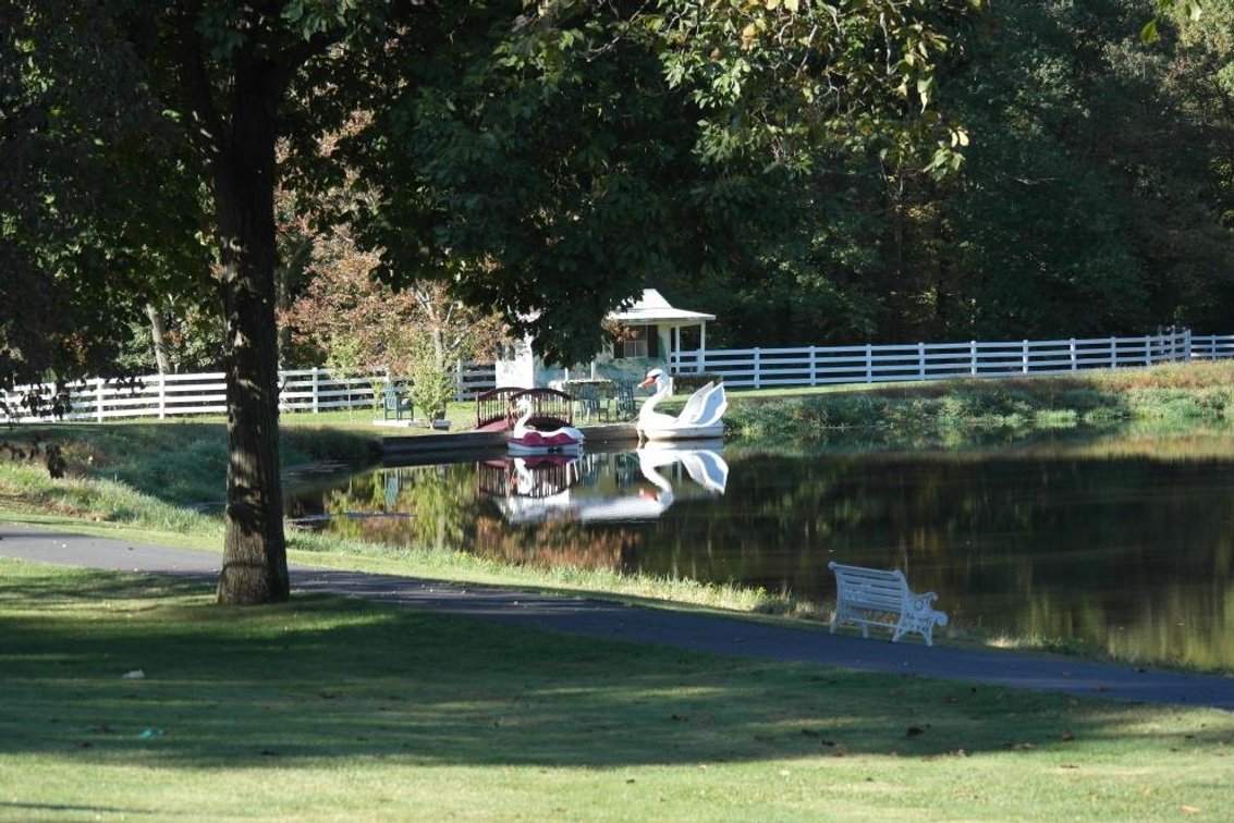 Image for Wonderland Farms - A 127+/- Acres Equestrian Estate