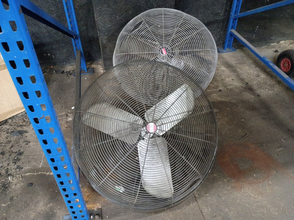 {each} Ass't Wall-Mounted 30" Fans
