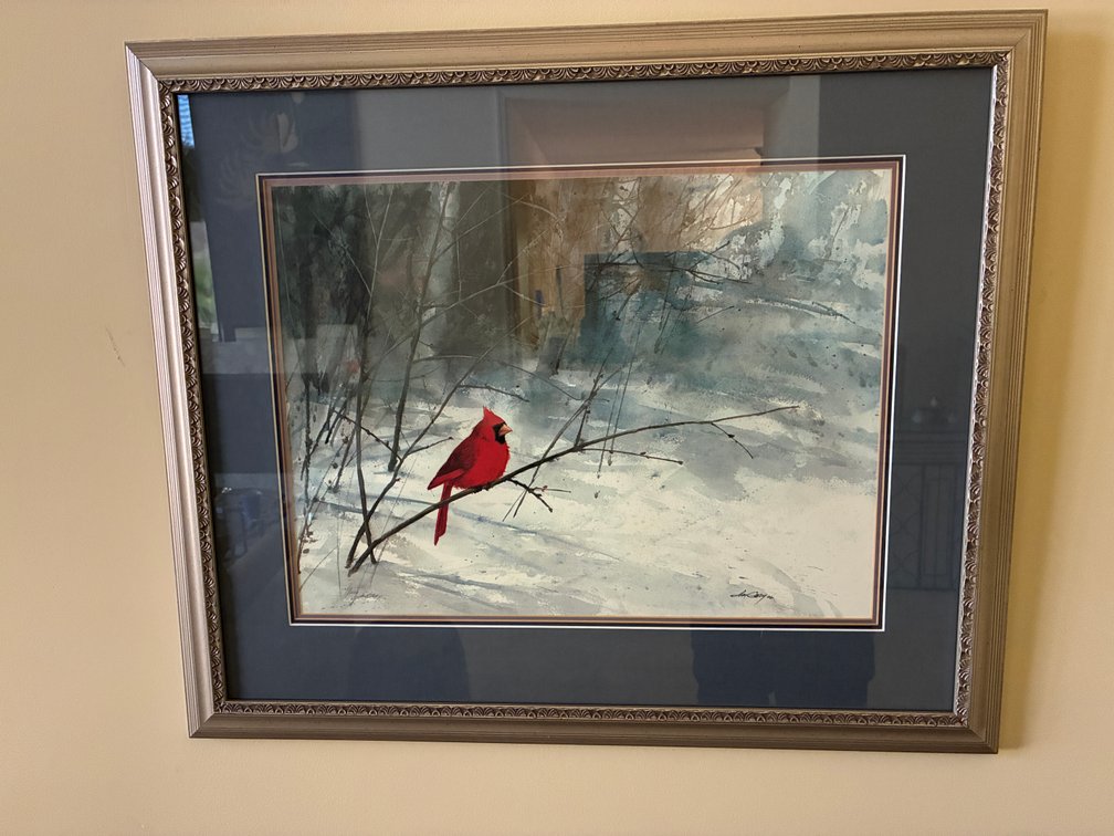 Jim Gray 'Winter Cardinal' Framed Print