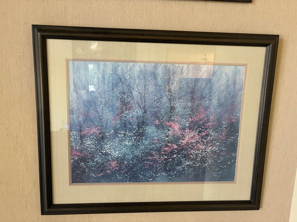 Robert Tino 'First Impressions' Framed Print