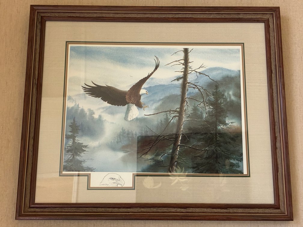 Jim Gray 'Blessed With Freedom' Framed Print