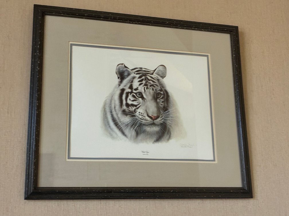 Charles Frace 'White Tiger' Framed Print