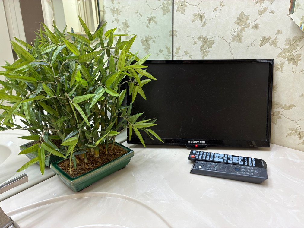 Element 19in 720p LED HDTV, Artificial Plant