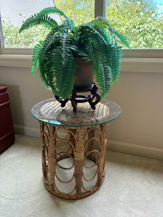 Bamboo/Rattan Side Table with Glass Top, Artificial Fern