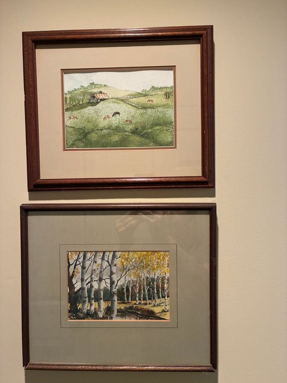 Framed Prints