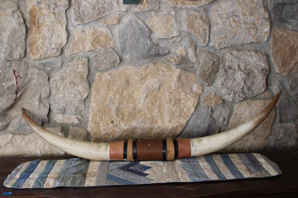 LONGHORN STEER HORNS