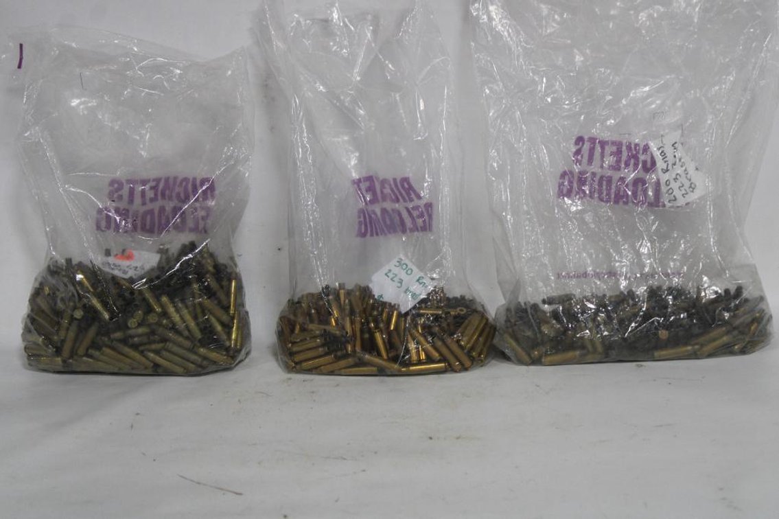 223 BRASS CASINGS