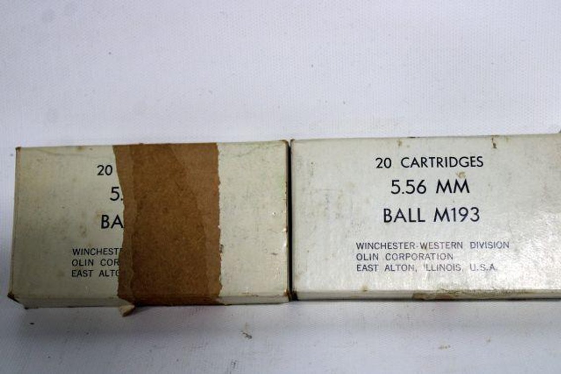 30 RNDS 5.56 AMMO