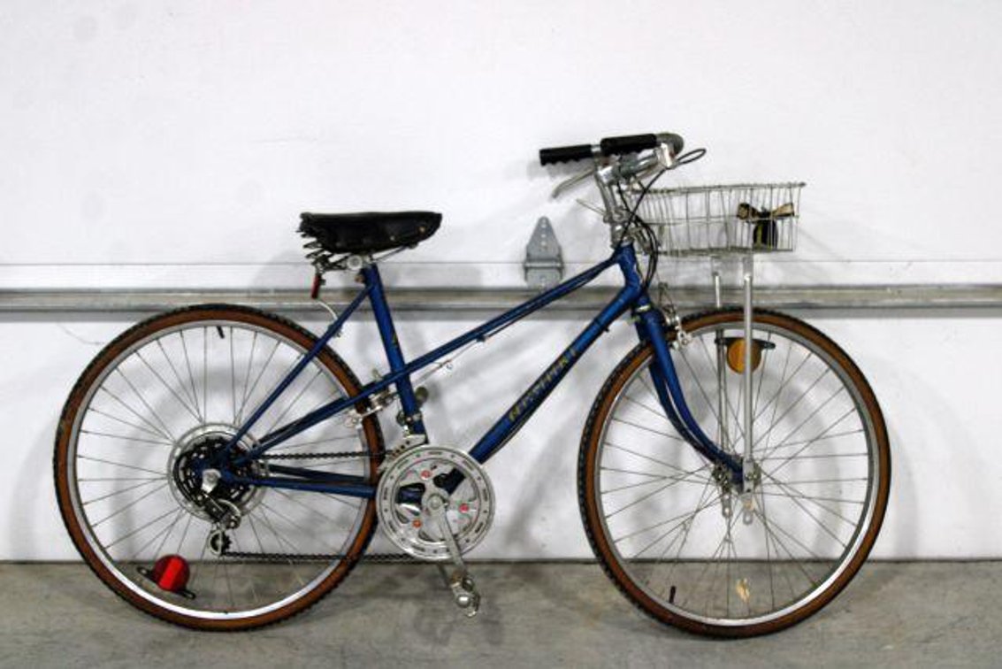 NISHIKI CUSTOM SPORT BIKE