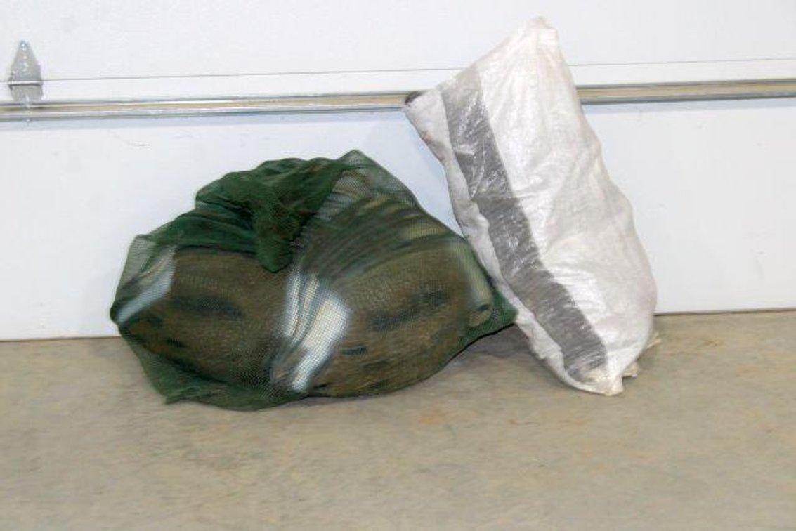 GOOSE DECOYS