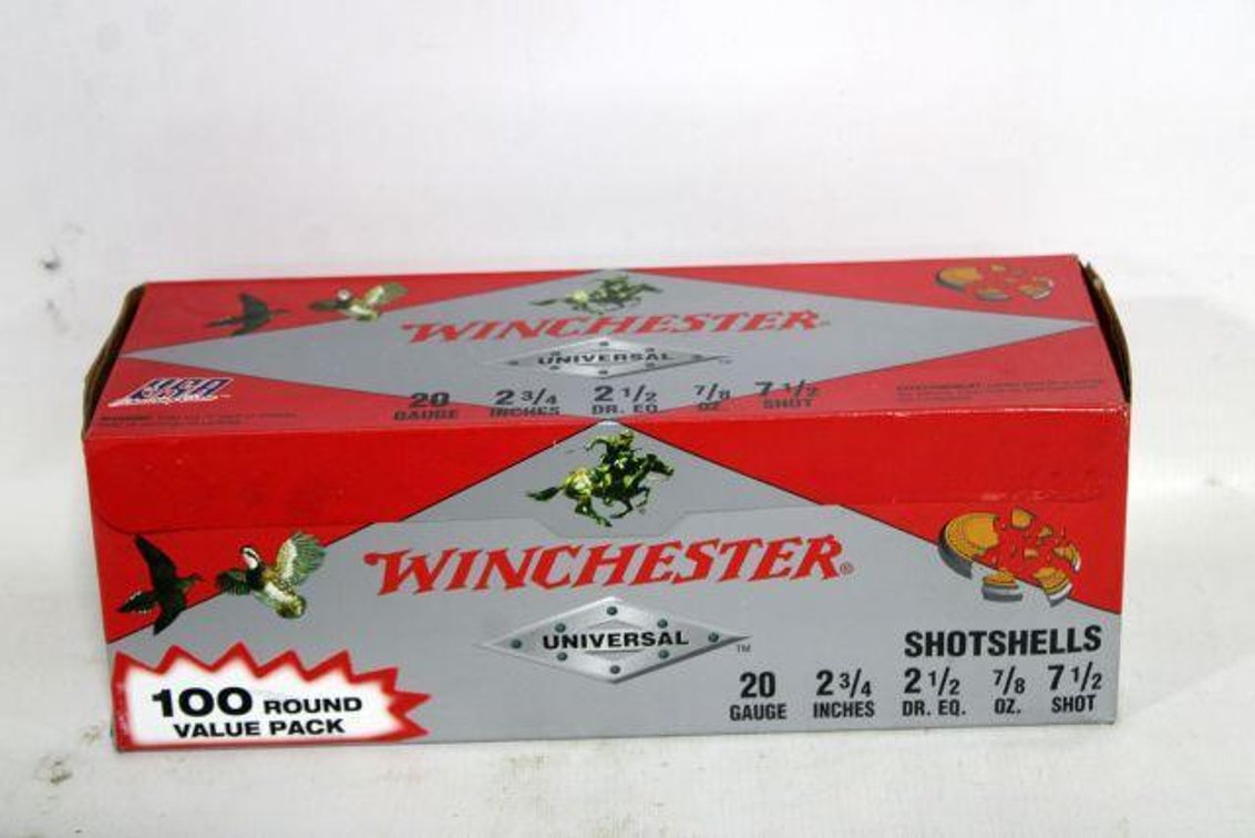 100 ROUNDS WINCHESTER 20 GAUGE AMMO
