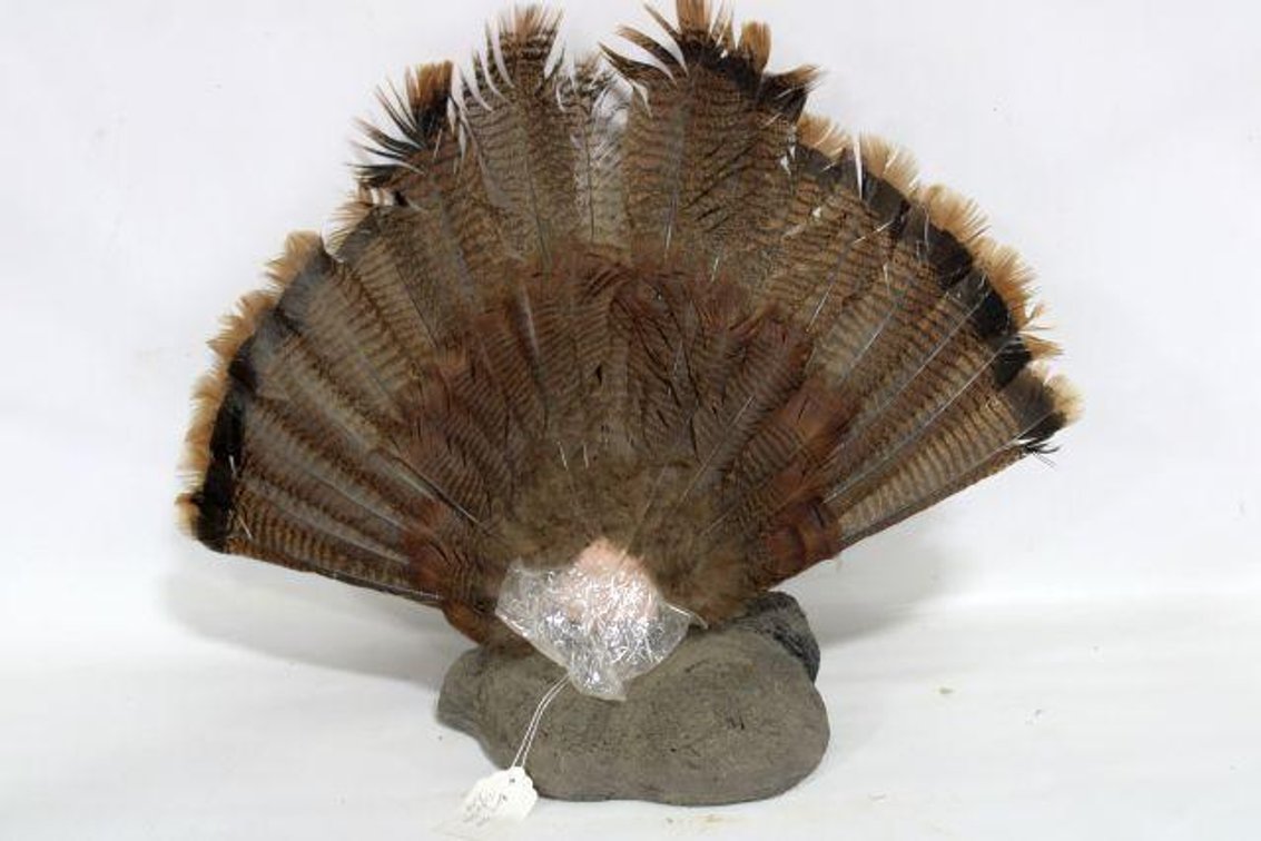 JAKE TURKEY FAN