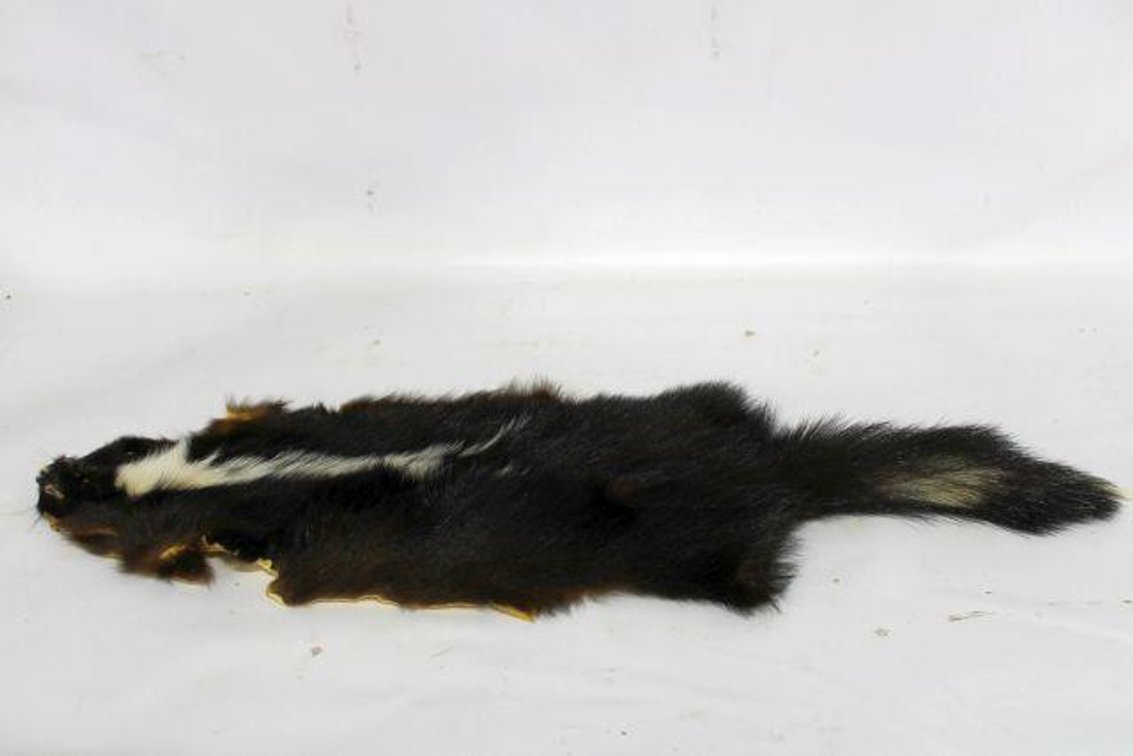 SKUNK PELT 