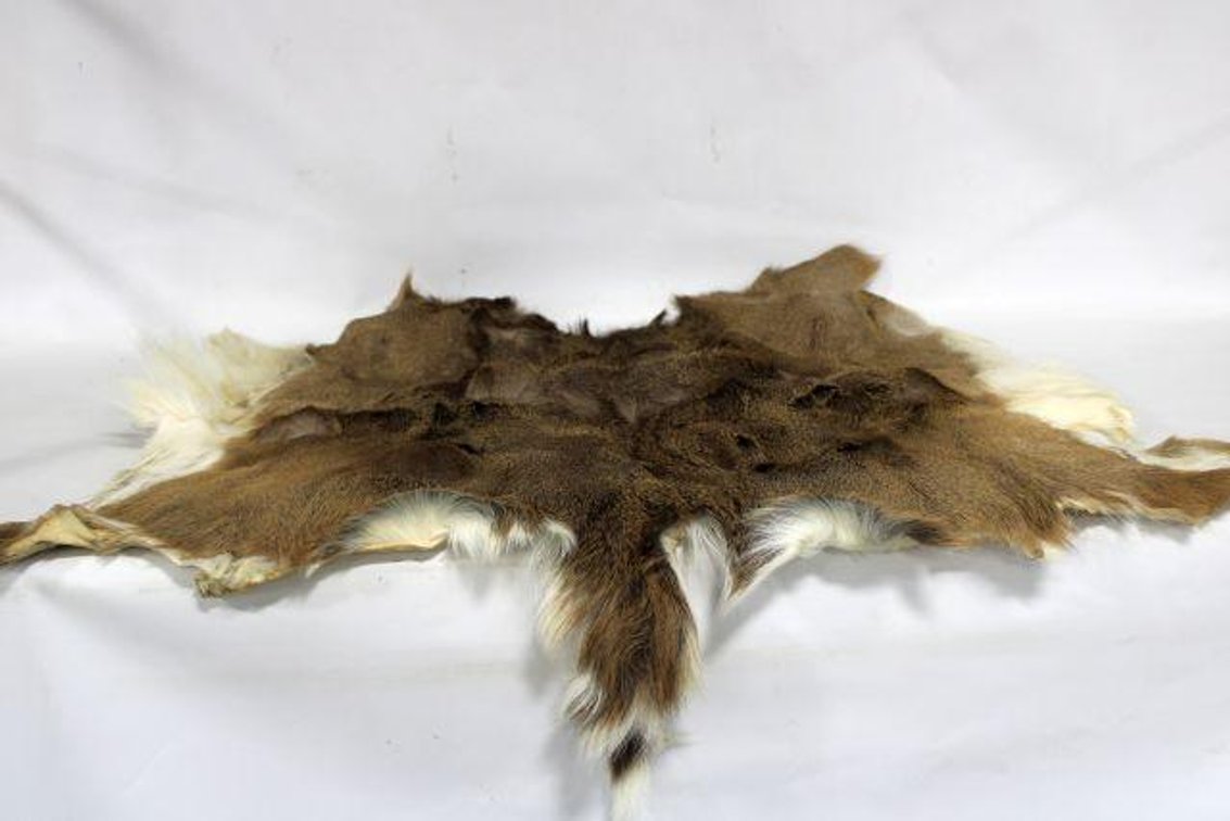 WHITE TAIL DEER PELT
