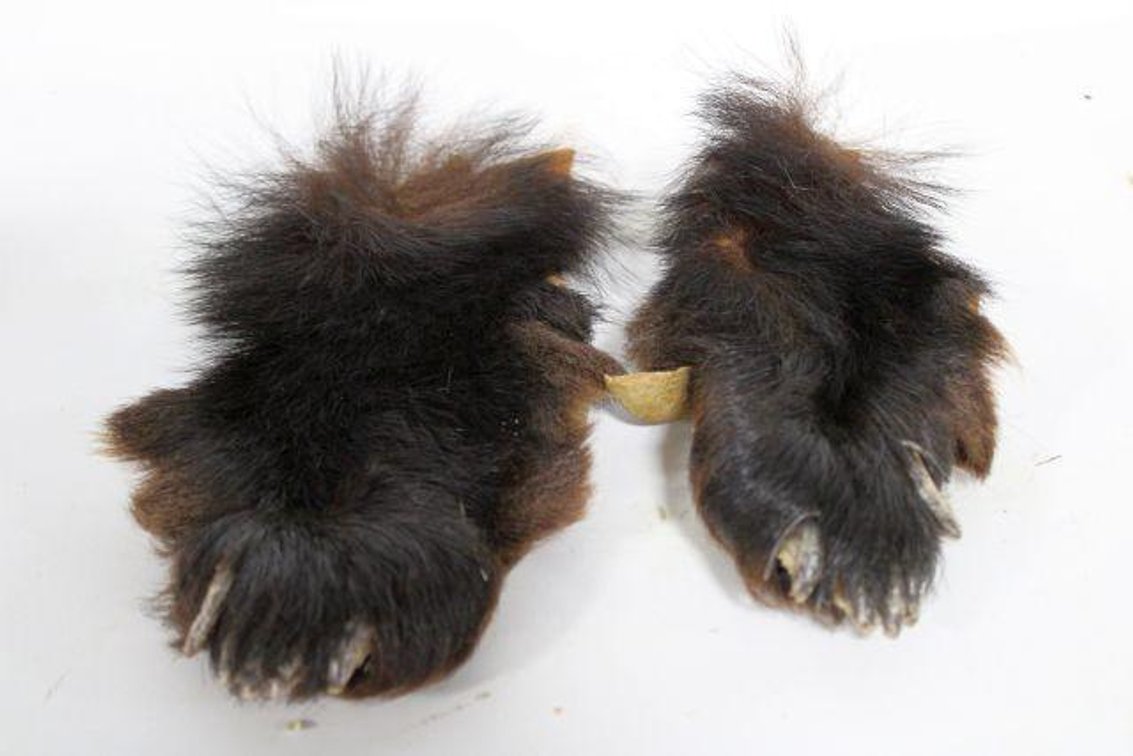 BEAR CLAWS