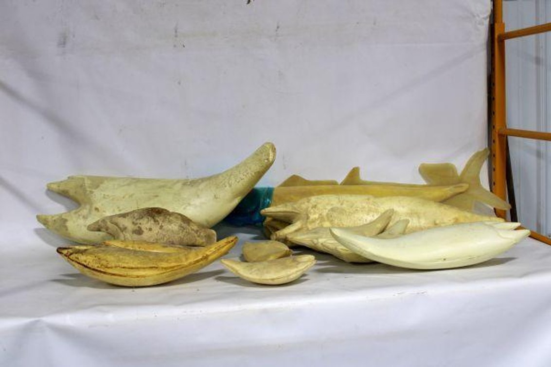 FISH TAXIDERMY FORMS
