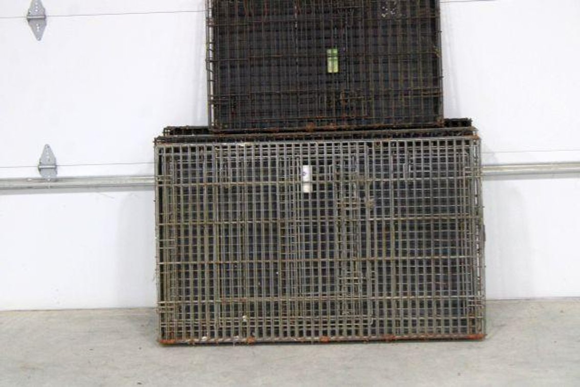 DOG KENNELS
