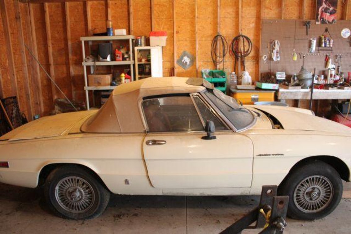 1980 ALFA ROMEO SPIDER ROLLER (NO TITLE)