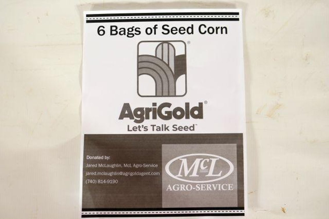 SIX BAGS OF SEED CORN