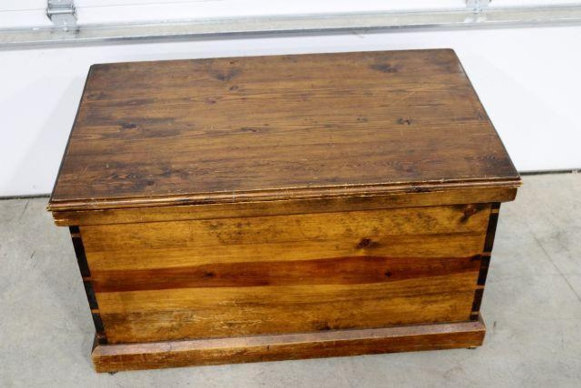 PINE TRUNK