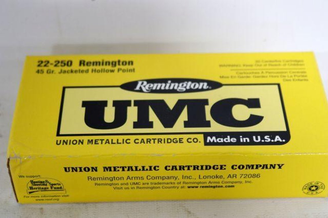 20 ROUNDS REMINGTON UMC 22-250 AMMO