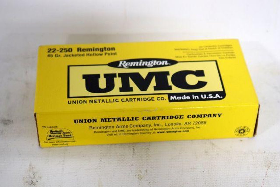 20 ROUNDS REMINGTON UMC 22-250 AMMO