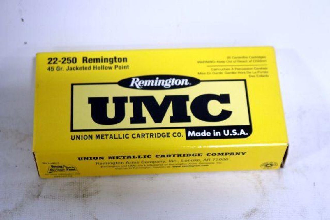 20 ROUNDS REMINGTON UMC 22-250 AMMO