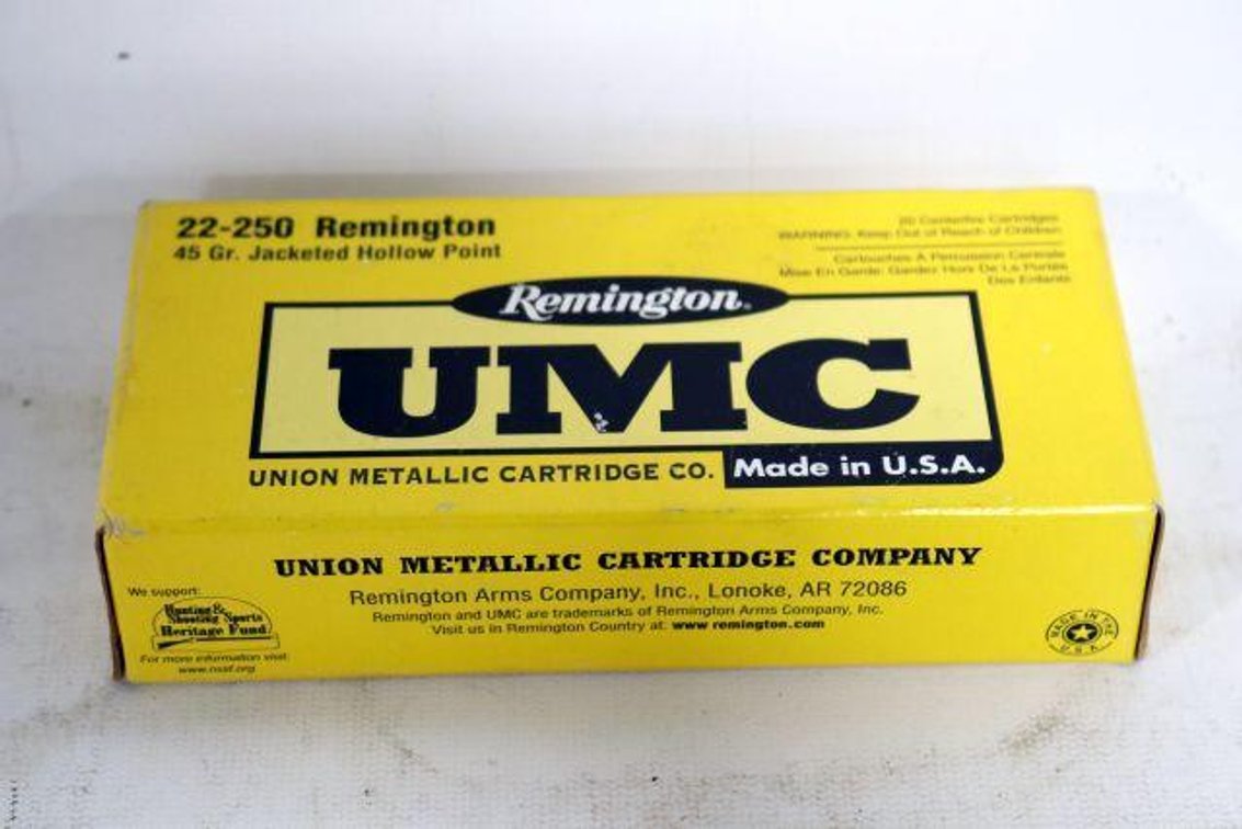 20 ROUNDS REMINGTON UMC 22-250 AMMO