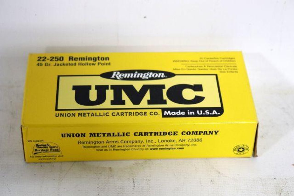 20 ROUNDS REMINGTON UMC 22-250 AMMO