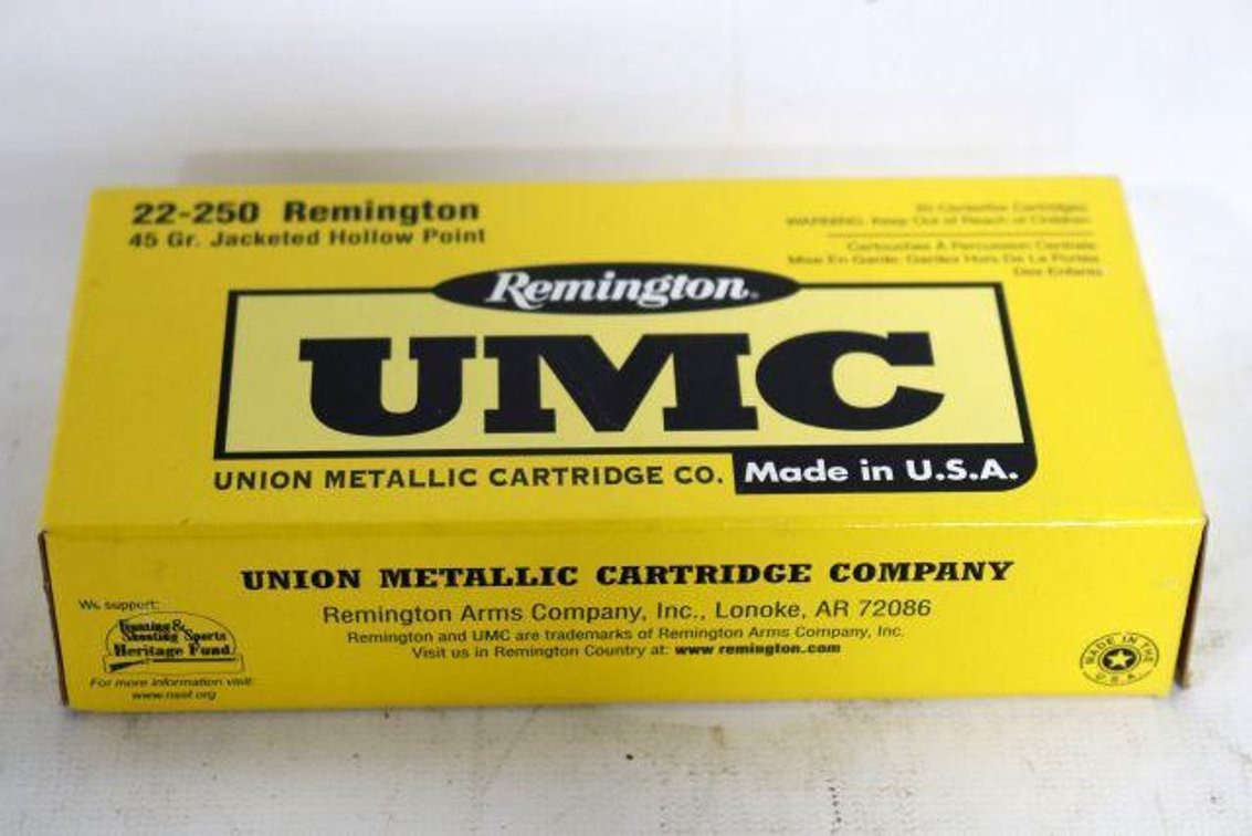 20 ROUNDS REMINGTON UMC 22-250 AMMO
