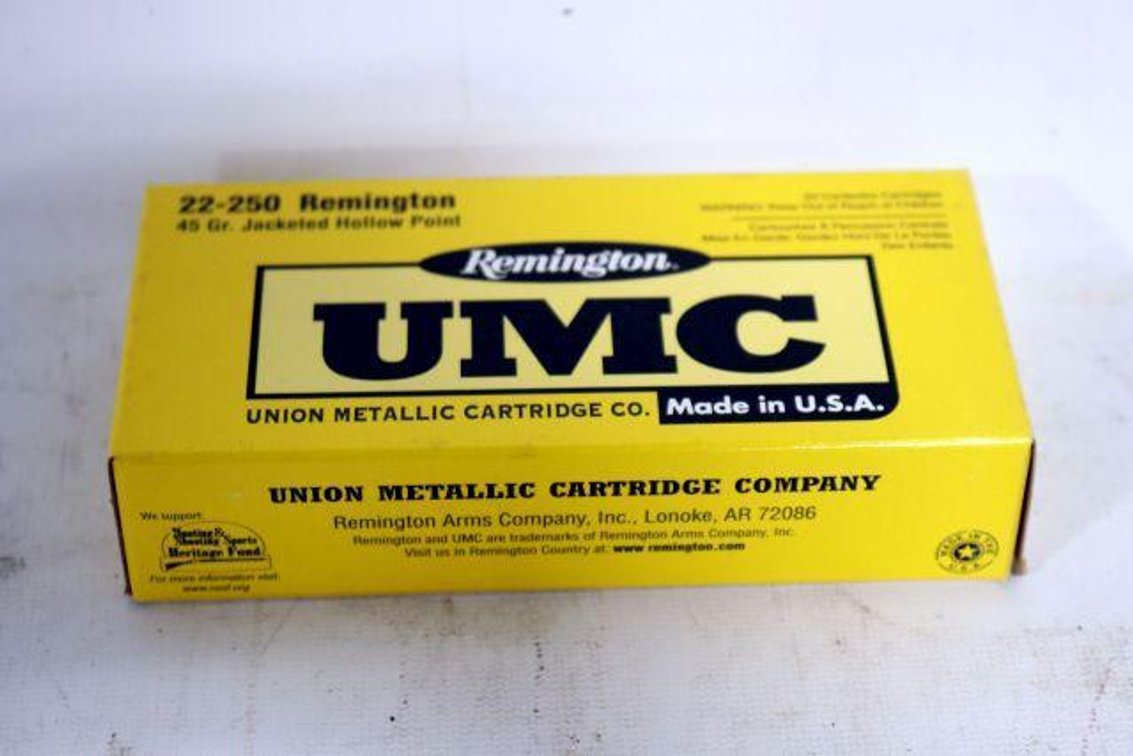 20 ROUNDS REMINGTON UMC 22-250 AMMO