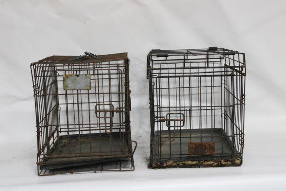 SMALL ANIMAL CRATES