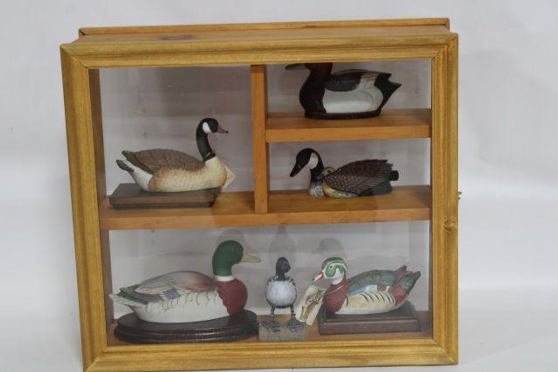 DISPLAY CASE W/ COLLECTIBLE DUCKS AND MORE