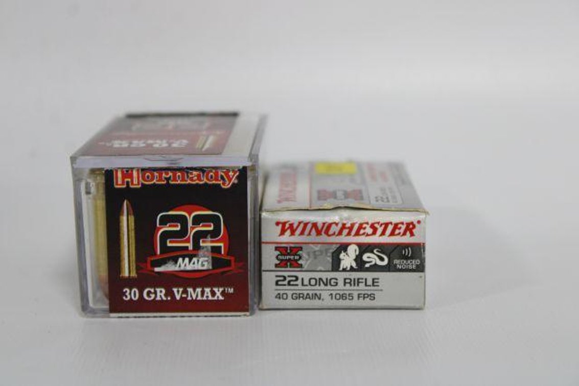 .22 AMMO