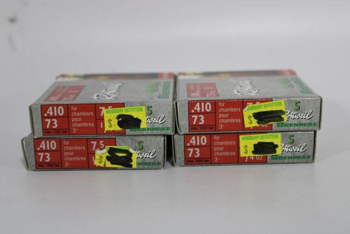.410 DEER SLUGS
