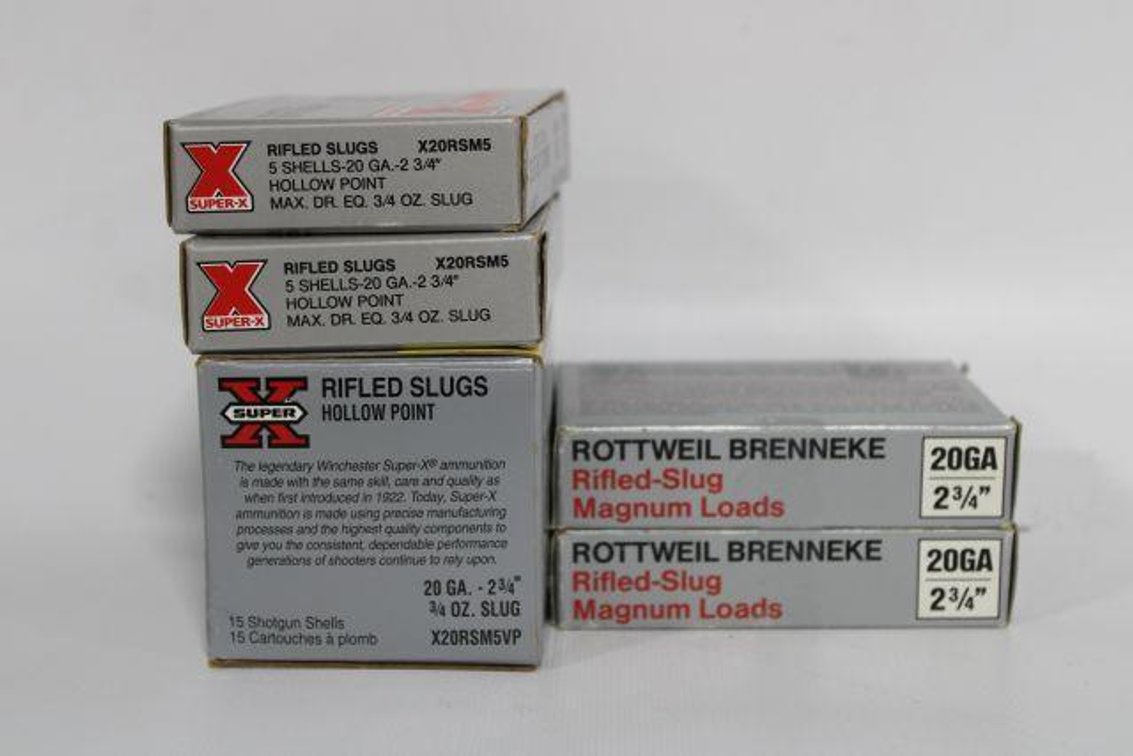 20 GAUGE DEER SLUGS 