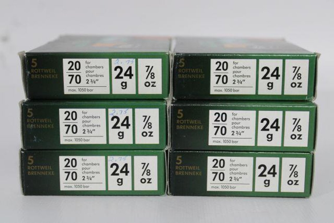 20 GAGUE DEER SLUGS