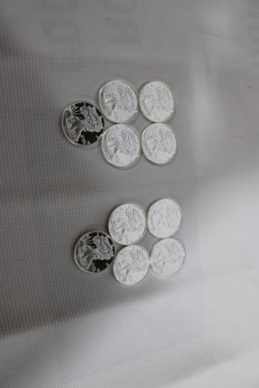 10 1 OZ SILVER COINS
