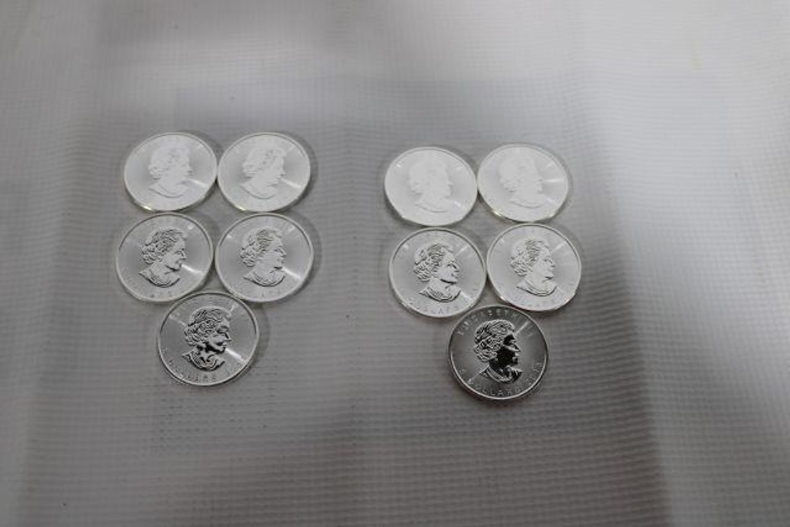 2018 CANADA $5 SILVER COIN 