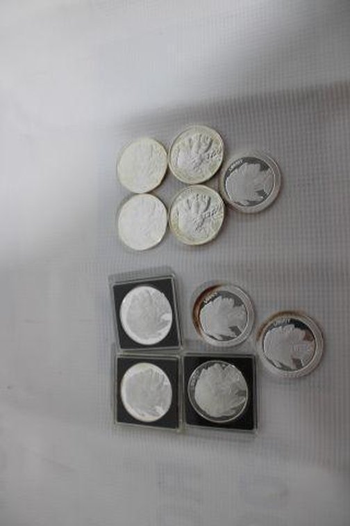 10 1 OZ SILVER COINS