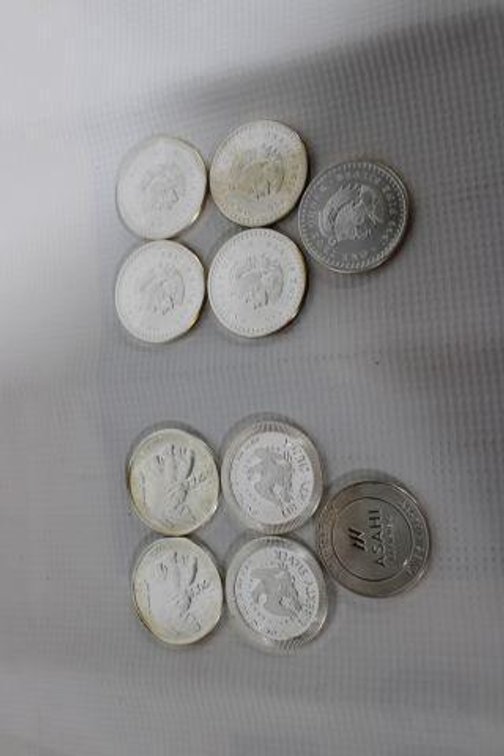 10 1 OZ SILVER COINS